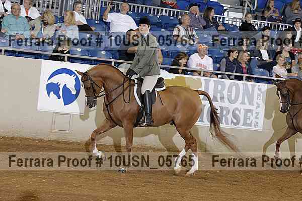 Proof 10usn_05765