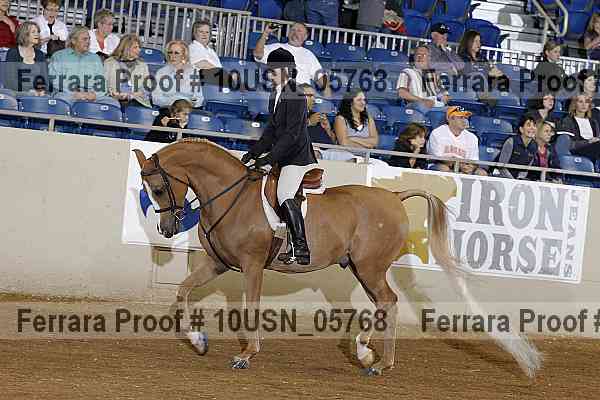 Proof 10usn_05768