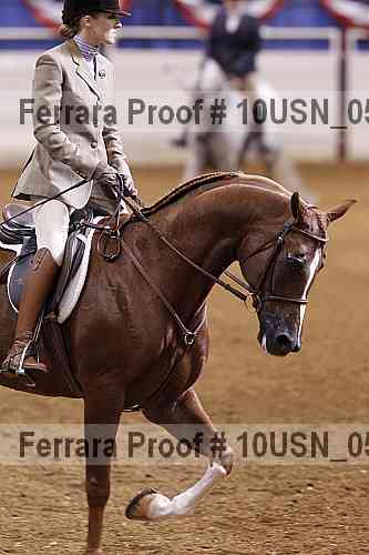 Proof 10usn_05769