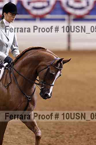 Proof 10usn_05774