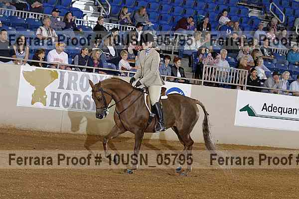 Proof 10usn_05795