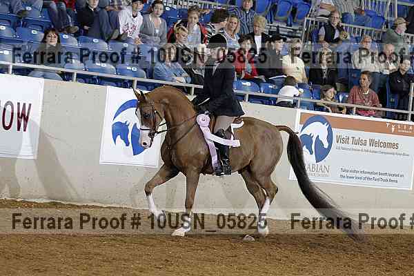 Proof 10usn_05825