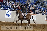 10usn_05828 proof