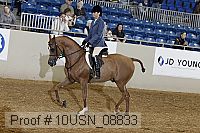 10usn_08833 proof
