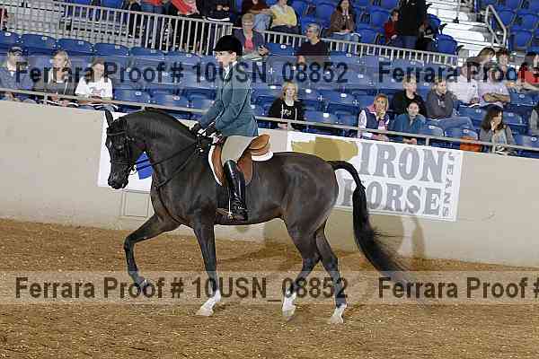 Proof 10usn_08852