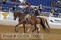 10usn_08861 proof