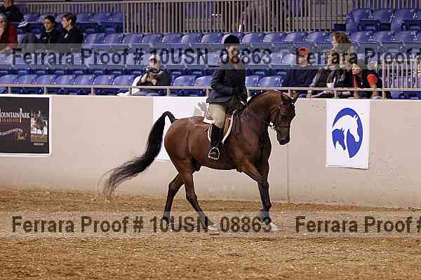 Proof 10usn_08863