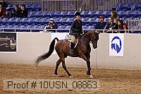 10usn_08863 proof
