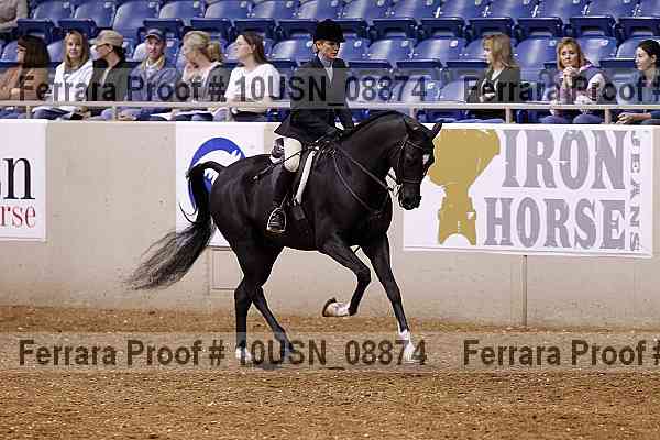 Proof 10usn_08874