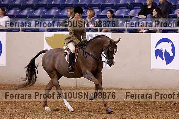 Proof 10usn_08876
