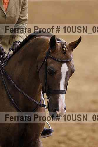 Proof 10usn_08900