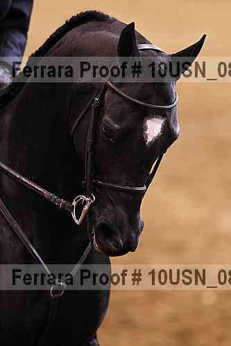 Proof 10usn_08903
