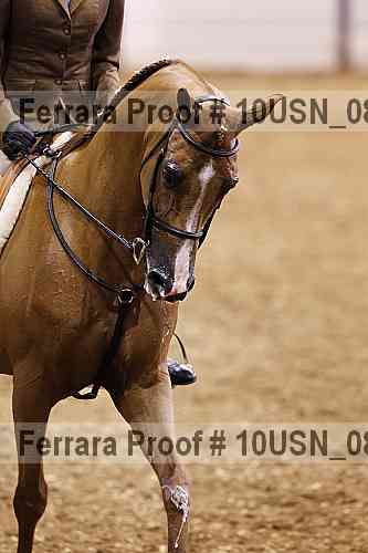 Proof 10usn_08906