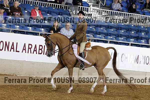 Proof 10usn_08907