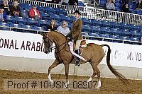 10usn_08907 proof