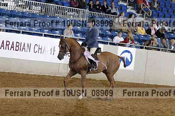 Proof 10usn_08909