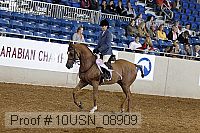 10usn_08909 proof