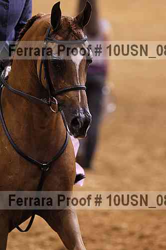 Proof 10usn_08911