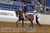 10usn_08913 proof
