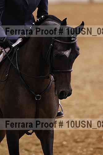 Proof 10usn_08919