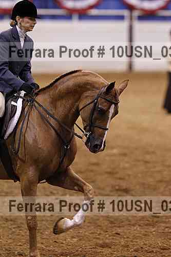 Proof 10usn_03605