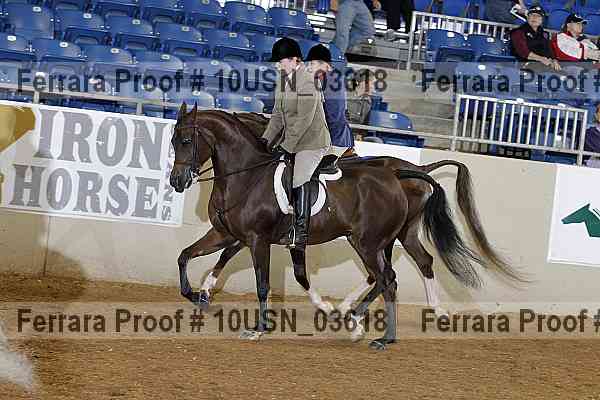 Proof 10usn_03618