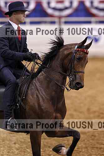 Proof 10usn_08490