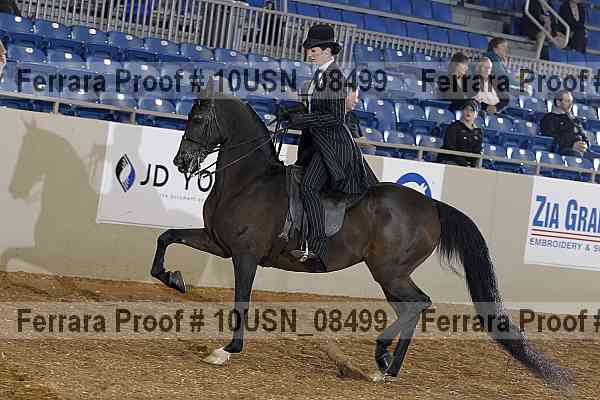 Proof 10usn_08499