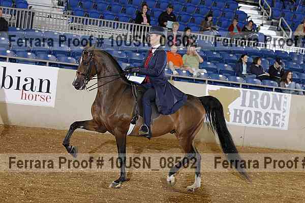 Proof 10usn_08502