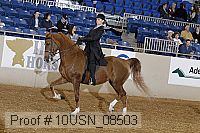 10usn_08503 proof