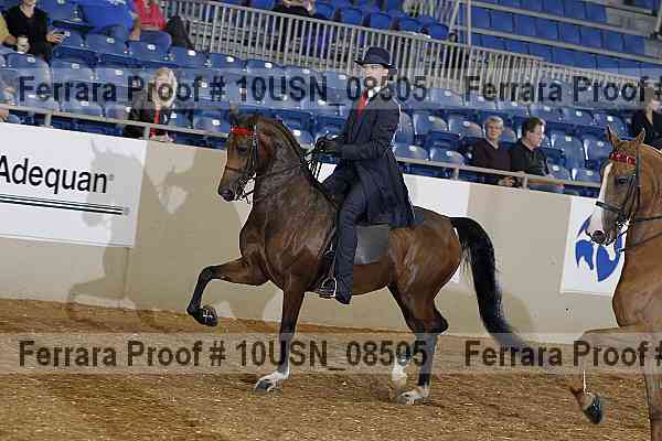 Proof 10usn_08505