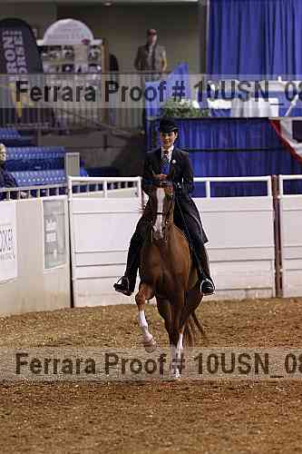Proof 10usn_08509