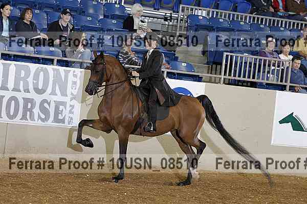 Proof 10usn_08510