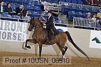10usn_08510 proof