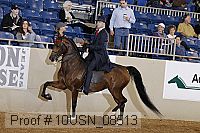 10usn_08513 proof