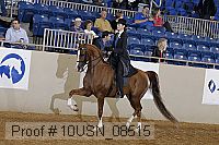 10usn_08515 proof