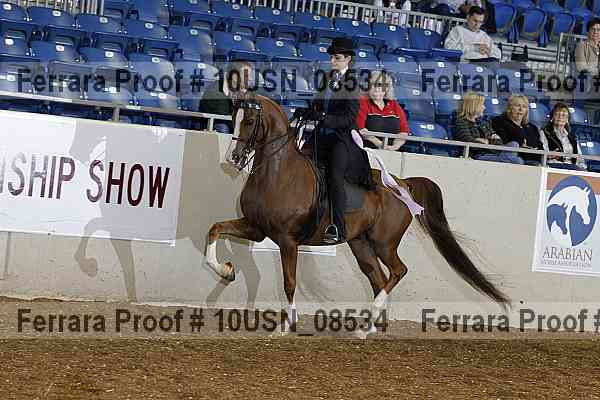 Proof 10usn_08534