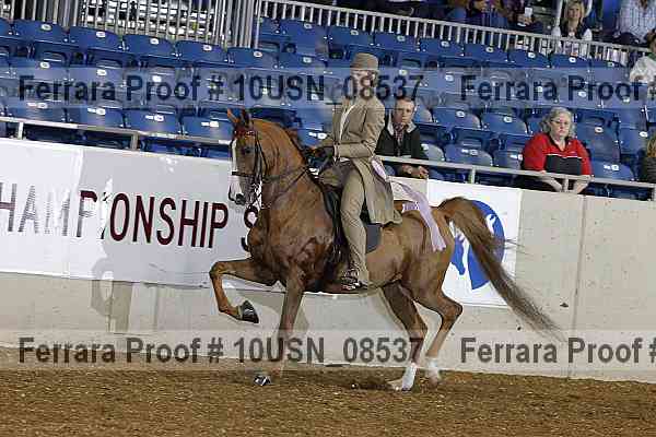 Proof 10usn_08537