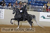 10usn_08552 proof