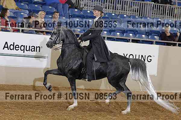 Proof 10usn_08563