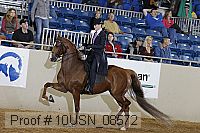 10usn_08572 proof