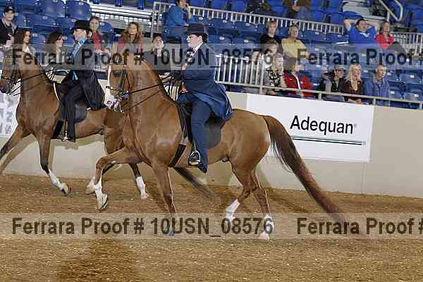 Proof 10usn_08576