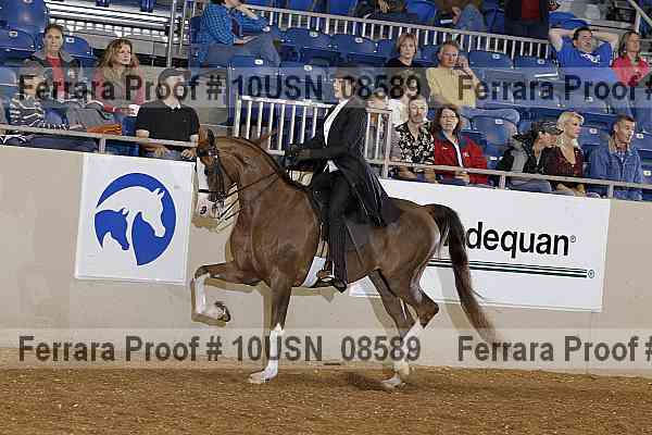 Proof 10usn_08589