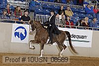 10usn_08589 proof