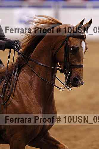 Proof 10usn_05129