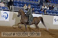 10usn_05136 proof