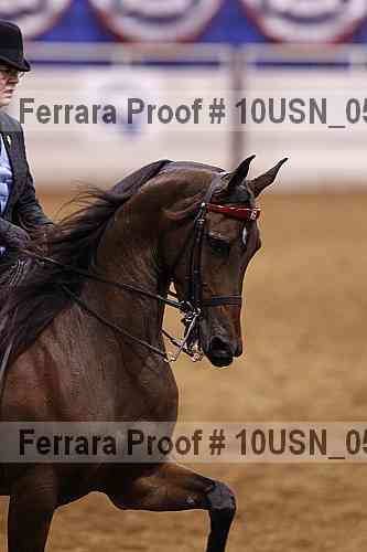 Proof 10usn_05140