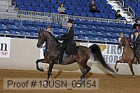 10usn_05154 proof