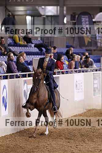 Proof 10usn_13675