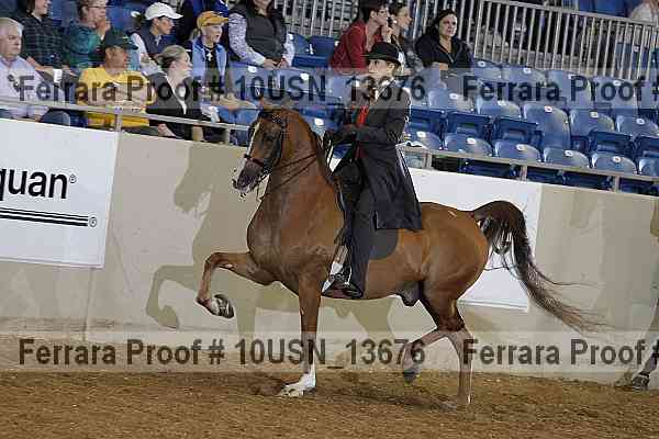 Proof 10usn_13676